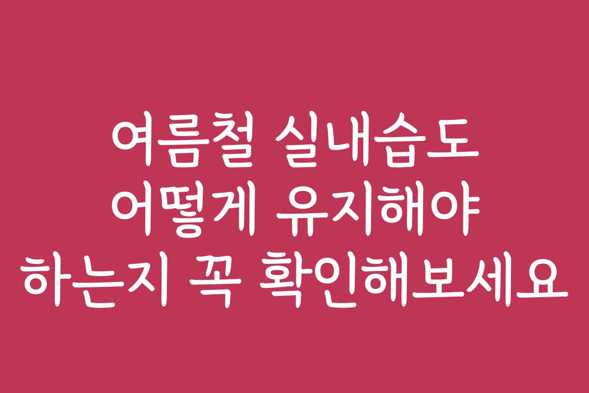 여름철 실내습도 어떻게 유지해야 하는지 꼭 확인해보세요