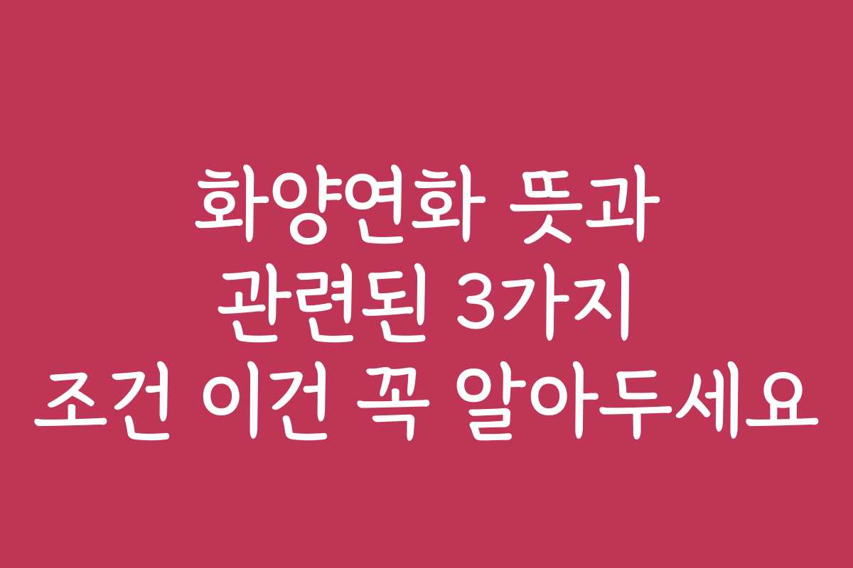 화양연화 뜻과 관련된 3가지 조건 이건 꼭 알아두세요