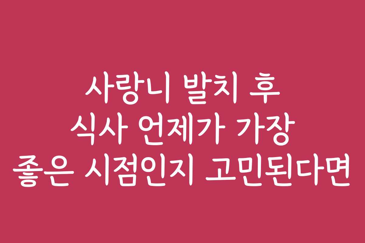 사랑니 발치 후 식사 언제가 가장 좋은 시점인지 고민된다면