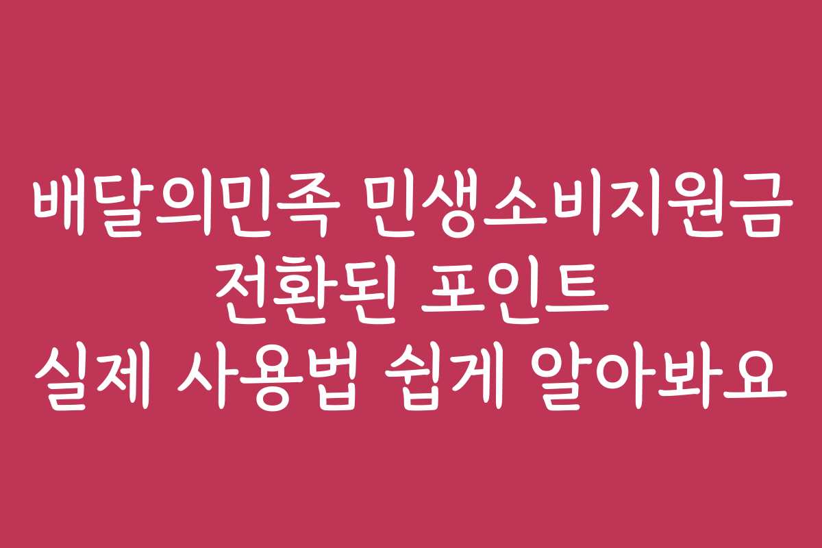 배달의민족 민생소비지원금 전환된 포인트 실제 사용법 쉽게 알아봐요