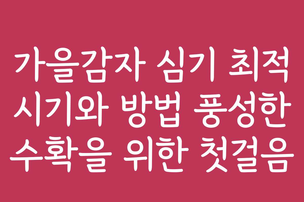 가을감자 심기 최적 시기와 방법 풍성한 수확을 위한 첫걸음