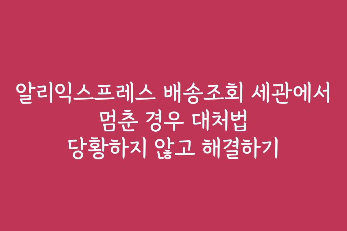 알리익스프레스 배송조회 세관에서 멈춘 경우 대처법 당황하지 않고 해결하기