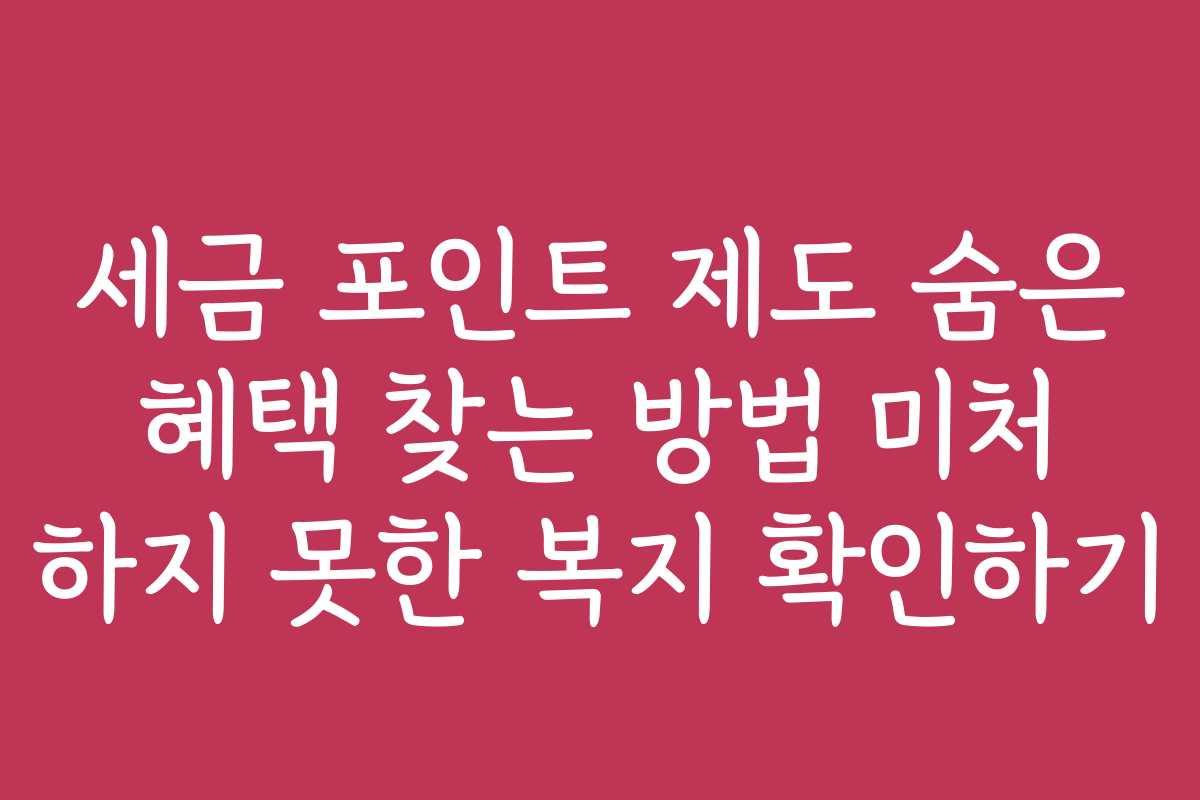 세금 포인트 제도 숨은 혜택 찾는 방법 미처 하지 못한 복지 확인하기