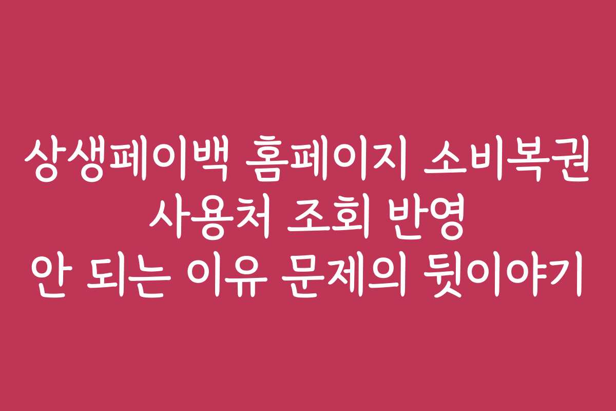 상생페이백 홈페이지 소비복권 사용처 조회 반영 안 되는 이유 문제의 뒷이야기