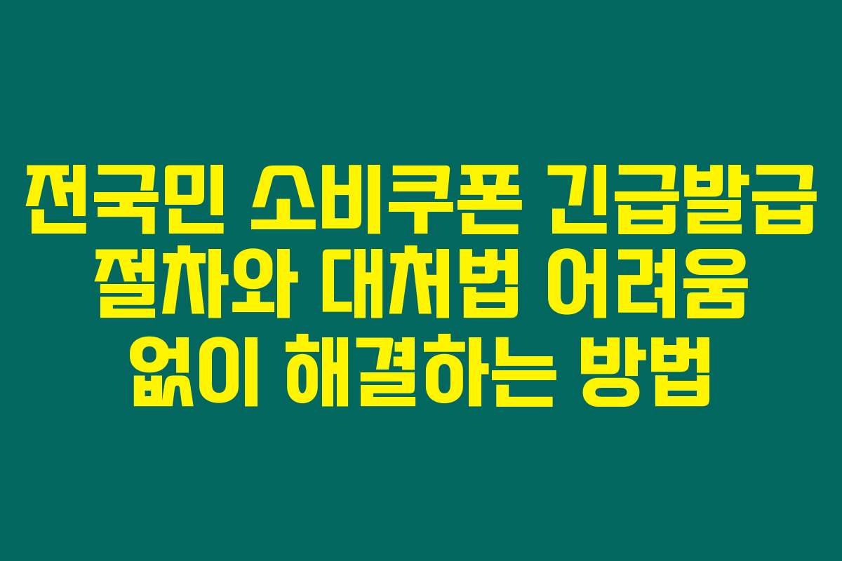 전국민 소비쿠폰 긴급발급 절차와 대처법 어려움 없이 해결하는 방법