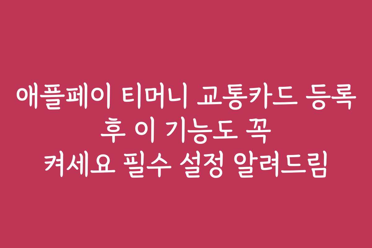 애플페이 티머니 교통카드 등록 후 이 기능도 꼭 켜세요 필수 설정 알려드림