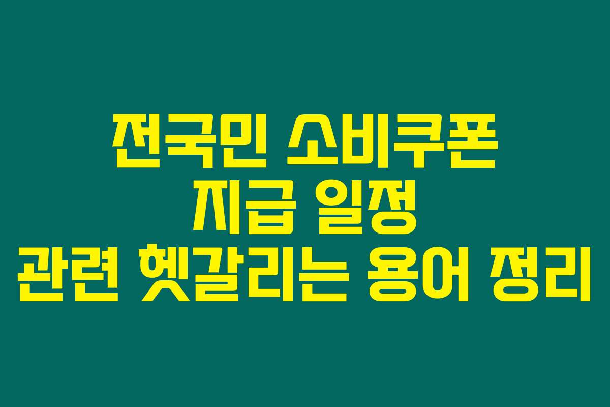 전국민 소비쿠폰 지급 일정 관련 헷갈리는 용어 정리