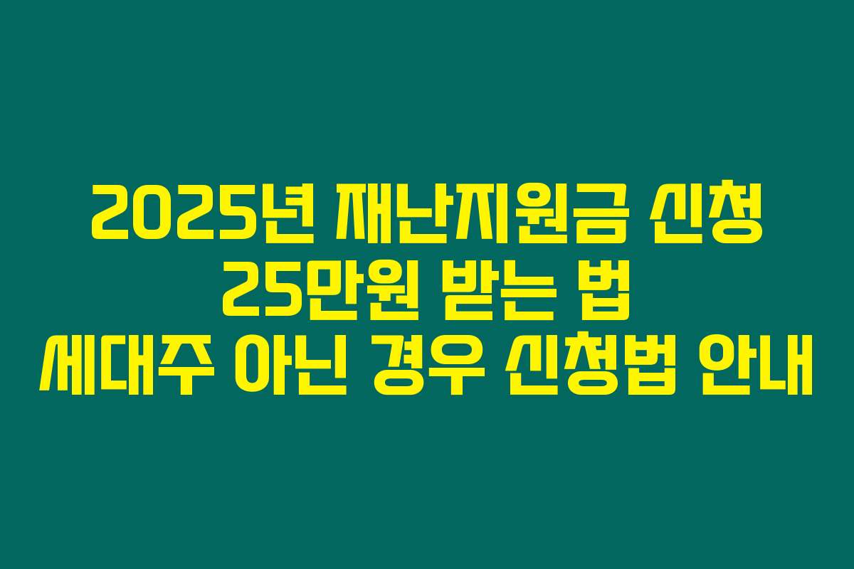 2025년 재난지원금 신청 25만원 받는 법 세대주 아닌 경우 신청법 안내