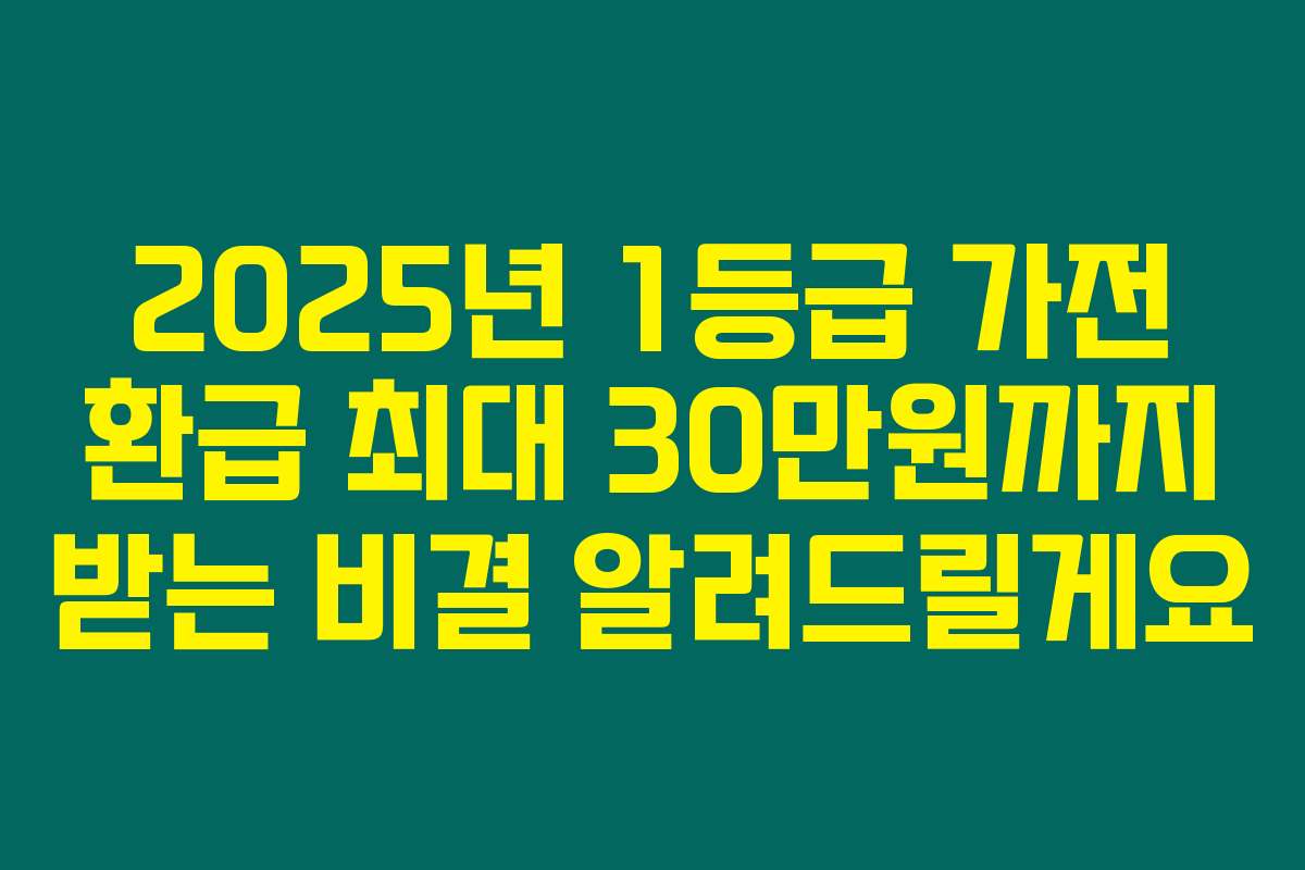 2025년 1등급 가전 환급 최대 30만원까지 받는 비결 알려드릴게요