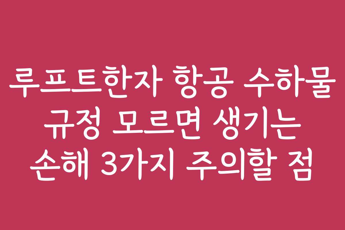 루프트한자 항공 수하물 규정 모르면 생기는 손해 3가지 주의할 점