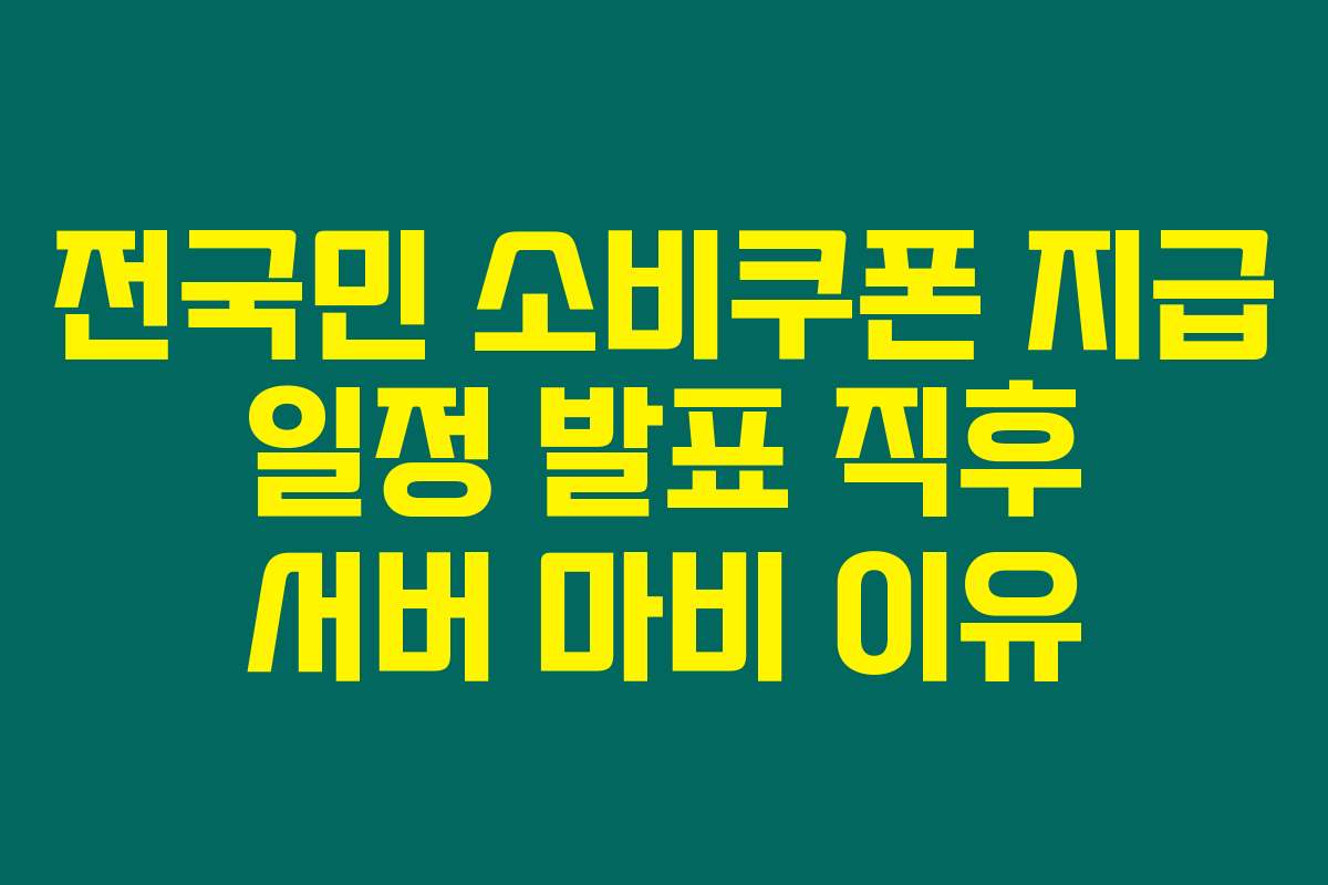 전국민 소비쿠폰 지급 일정 발표 직후 서버 마비 이유