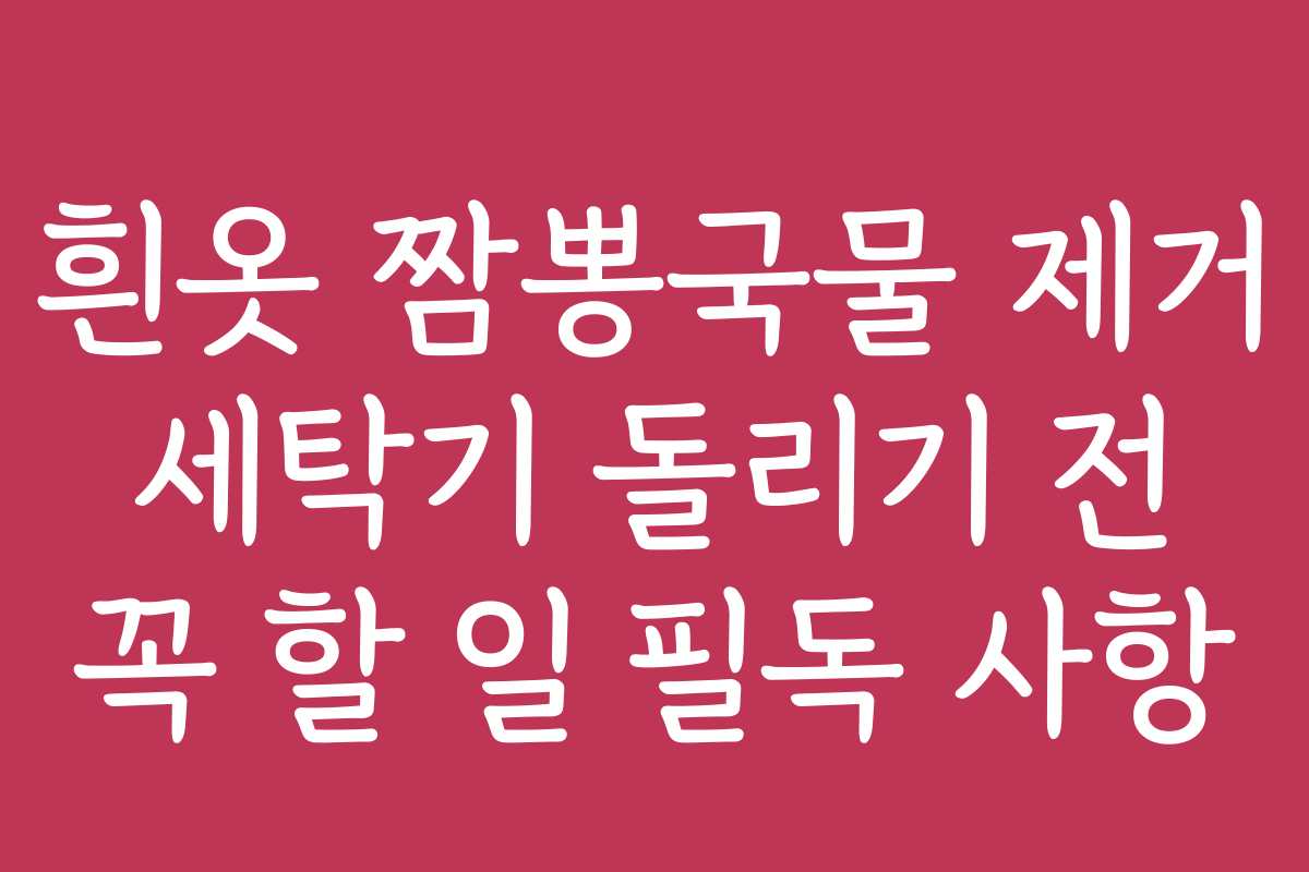 흰옷 짬뽕국물 제거 세탁기 돌리기 전 꼭 할 일 필독 사항