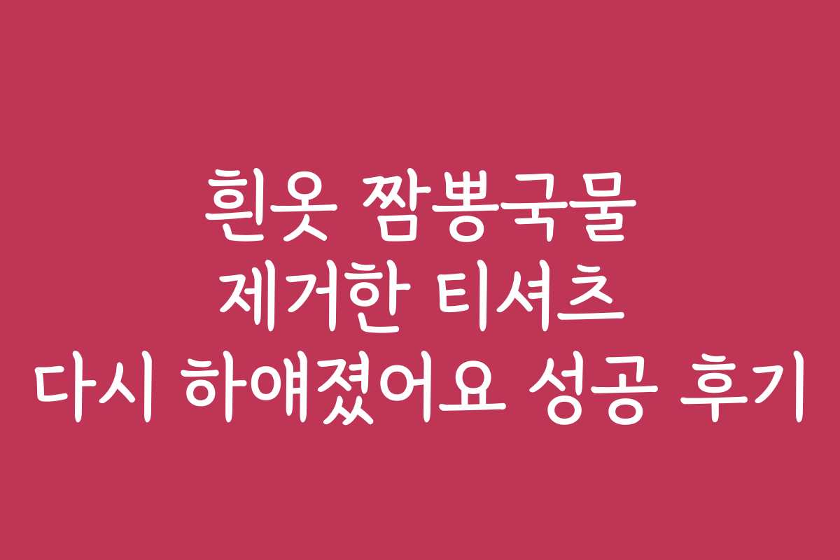 흰옷 짬뽕국물 제거한 티셔츠 다시 하얘졌어요 성공 후기