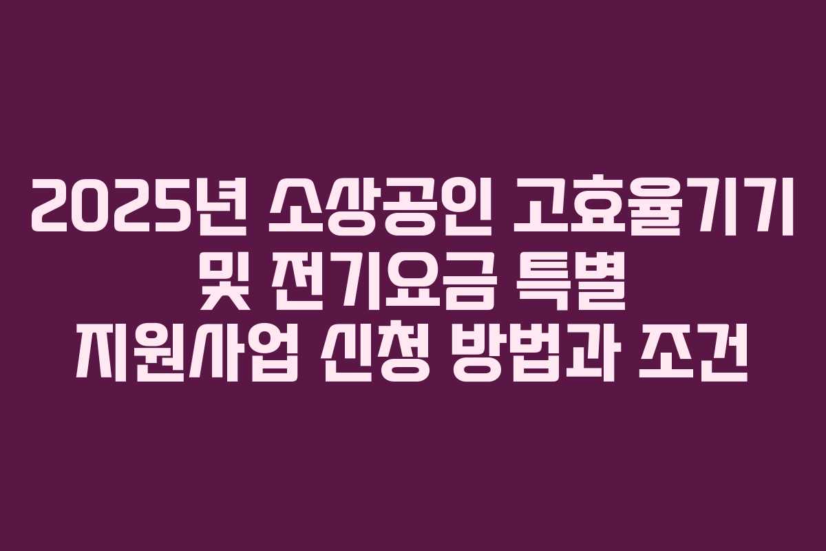 2025년 소상공인 고효율기기 및 전기요금 특별 지원사업 신청 방법과 조건