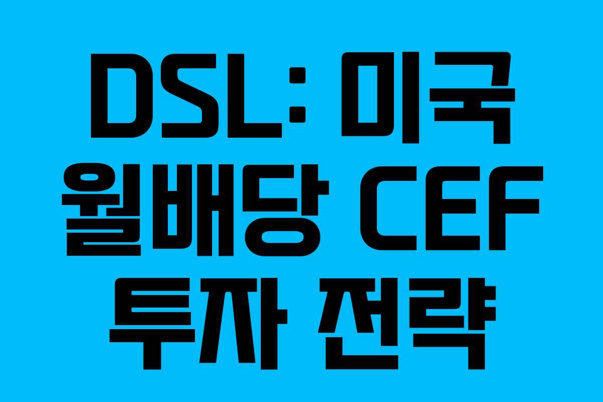 DSL: 미국 월배당 CEF 투자 전략