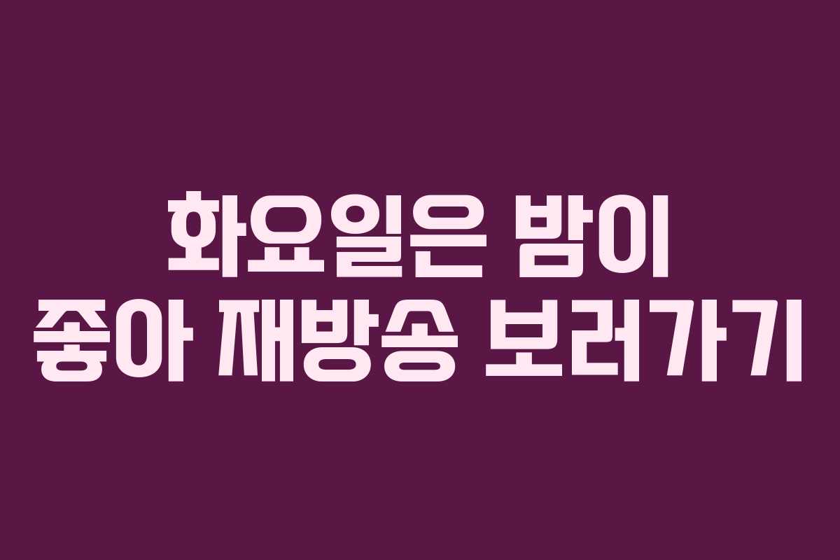 화요일은 밤이 좋아 재방송 보러가기