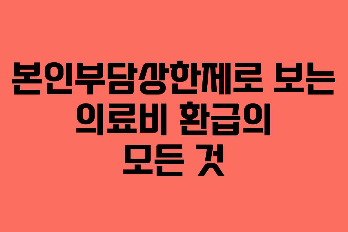 본인부담상한제로 보는 의료비 환급의 모든 것