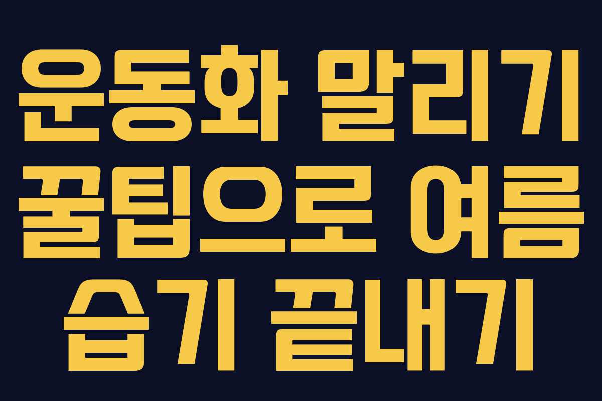 운동화 말리기 꿀팁으로 여름 습기 끝내기