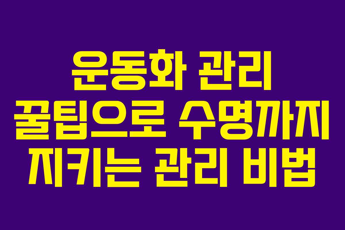 운동화 관리 꿀팁으로 수명까지 지키는 관리 비법