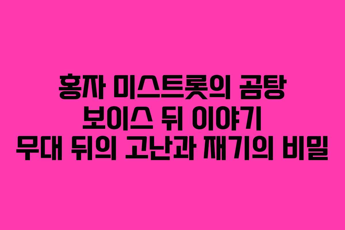 홍자 미스트롯의 곰탕 보이스 뒤 이야기 무대 뒤의 고난과 재기의 비밀
