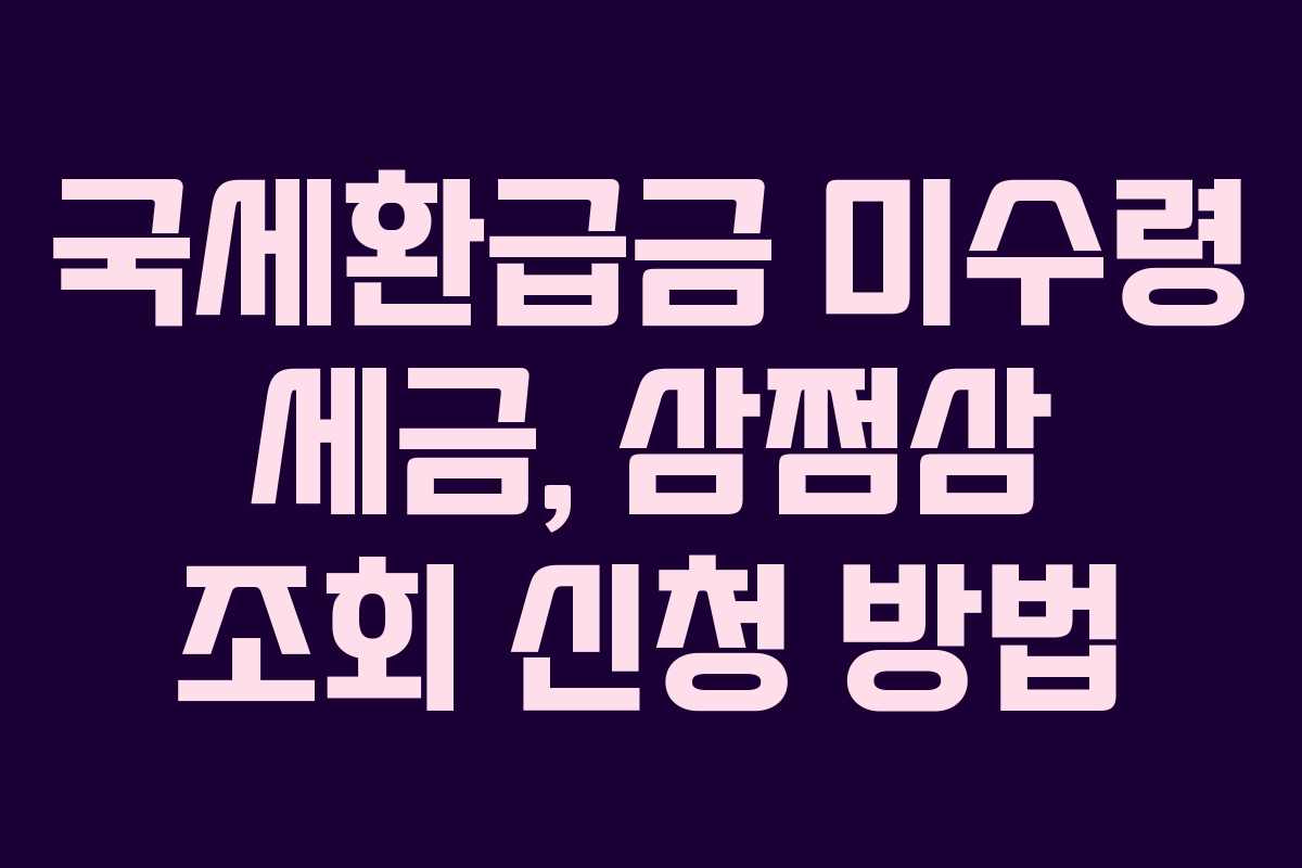 국세환급금 미수령 세금, 삼쩜삼 조회 신청 방법