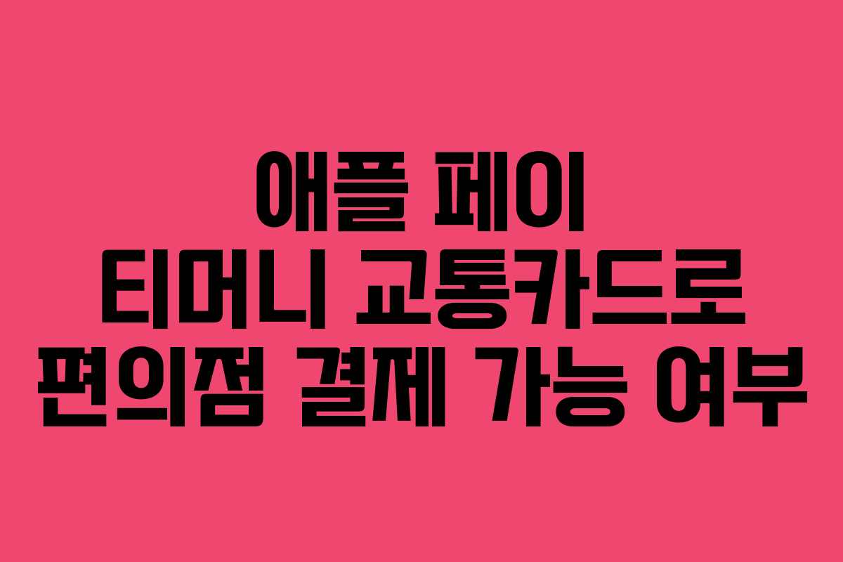 애플 페이 티머니 교통카드로 편의점 결제 가능 여부