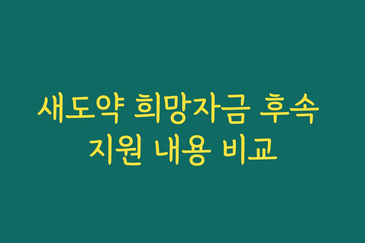 새도약 희망자금 후속 지원 내용 비교