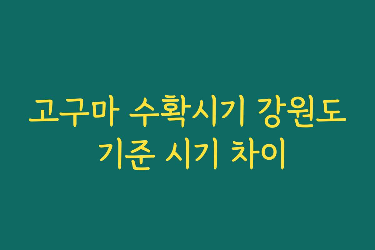 고구마 수확시기 강원도 기준 시기 차이
