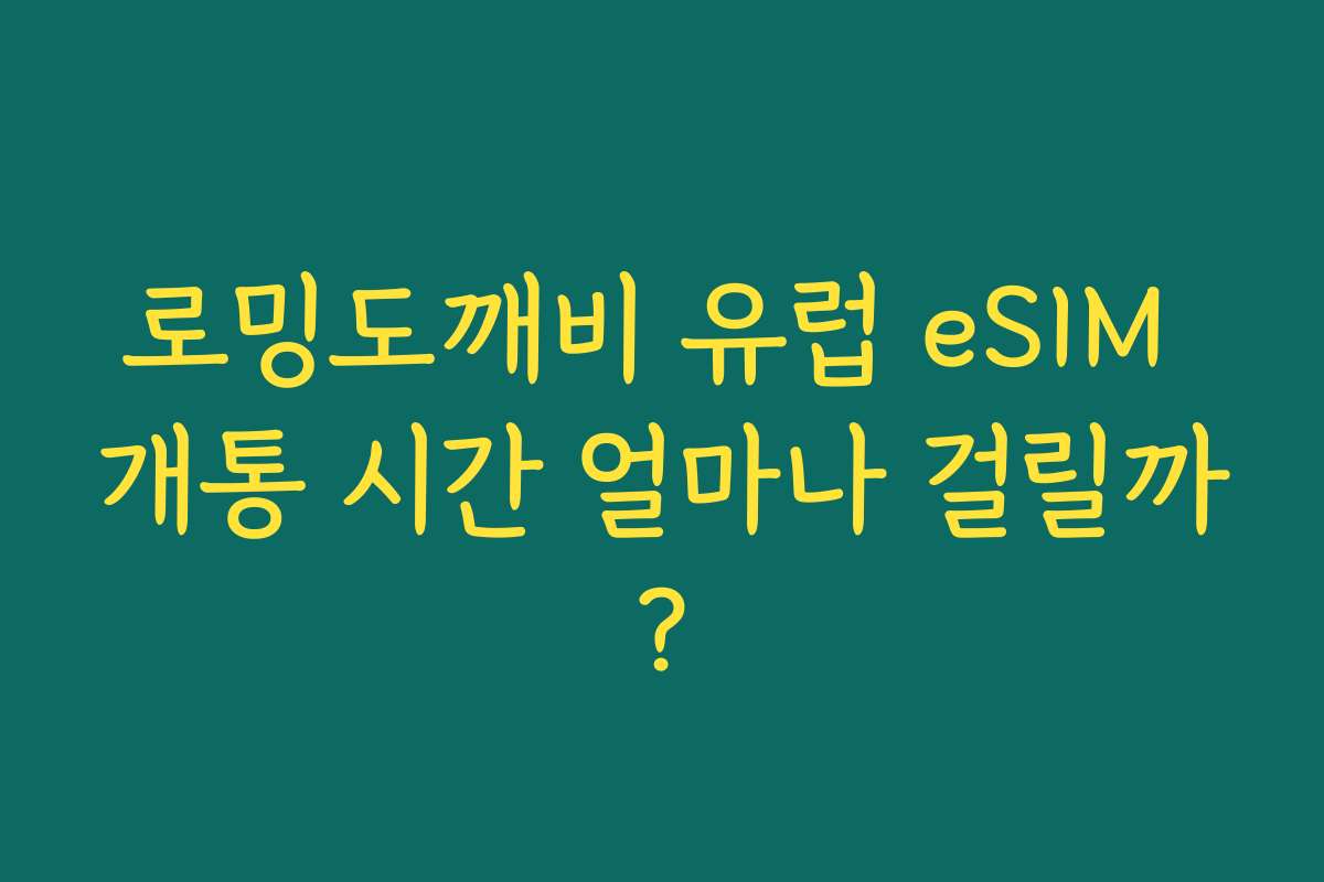 로밍도깨비 유럽 eSIM 개통 시간 얼마나 걸릴까?