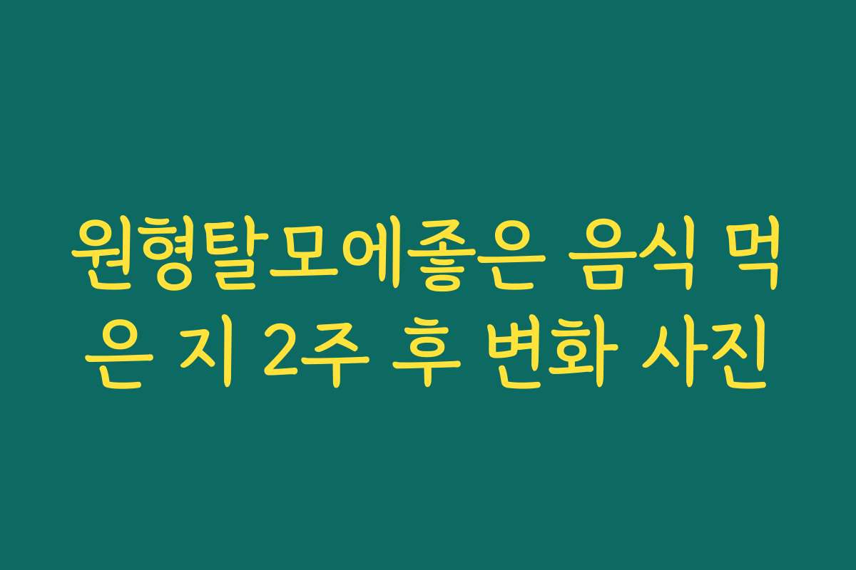 원형탈모에좋은 음식 먹은 지 2주 후 변화 사진