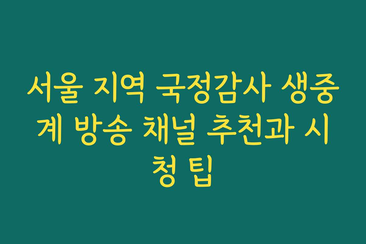 서울 지역 국정감사 생중계 방송 채널 추천과 시청 팁