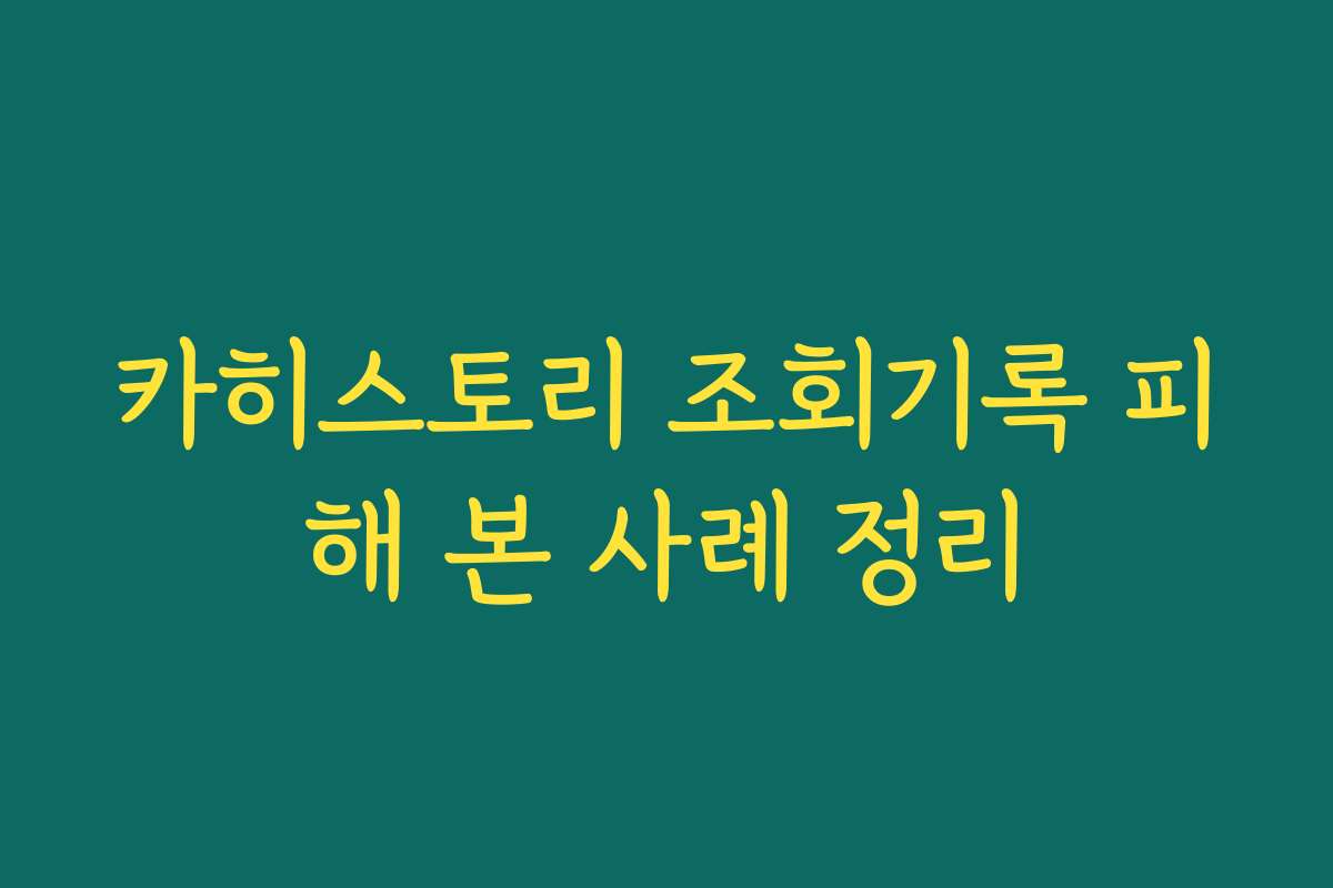 카히스토리 조회기록 피해 본 사례 정리 카히스토리 조회기록 피해 본 사례 정리