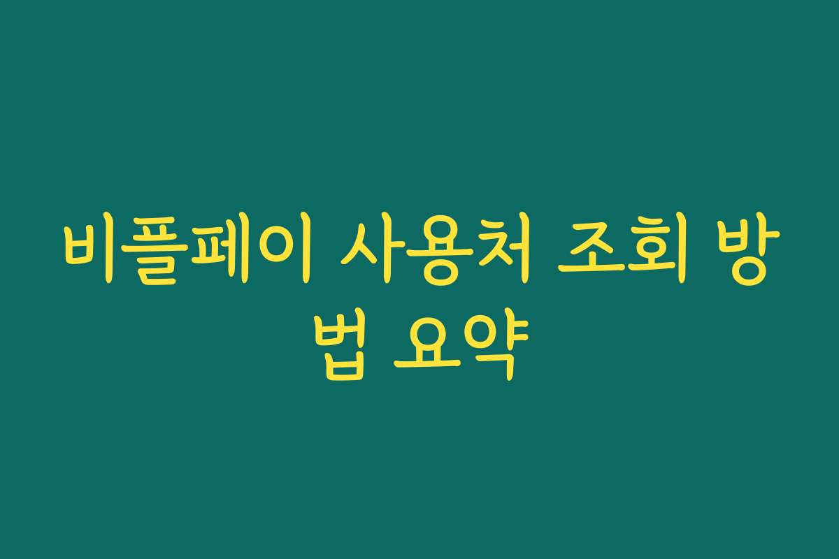 비플페이 사용처 조회 방법 요약
