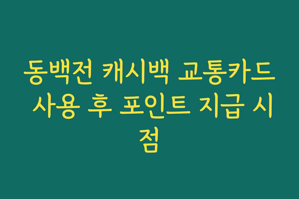 동백전 캐시백 교통카드 사용 후 포인트 지급 시점 동백전 캐시백 교통카드 사용 후 포인트 지급 시점