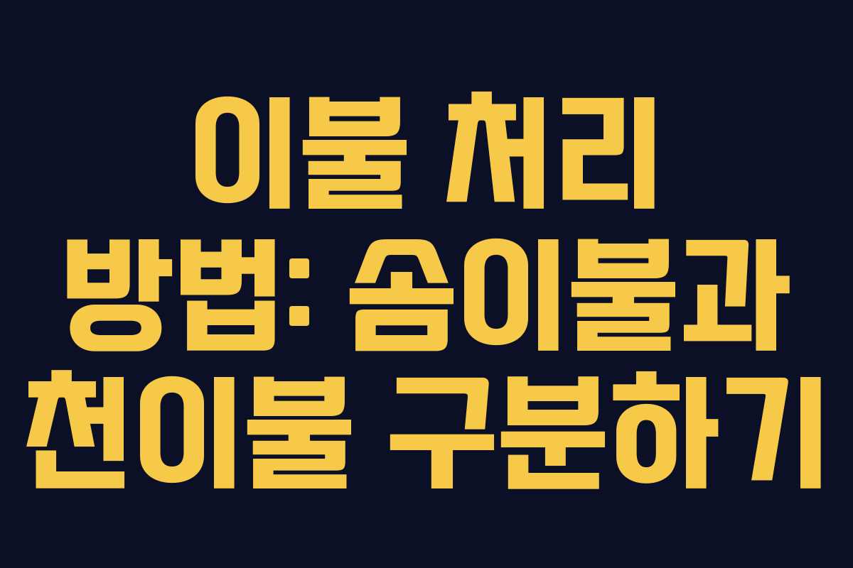 이불 처리 방법: 솜이불과 천이불 구분하기 이불 처리 방법: 솜이불과 천이불 구분하기