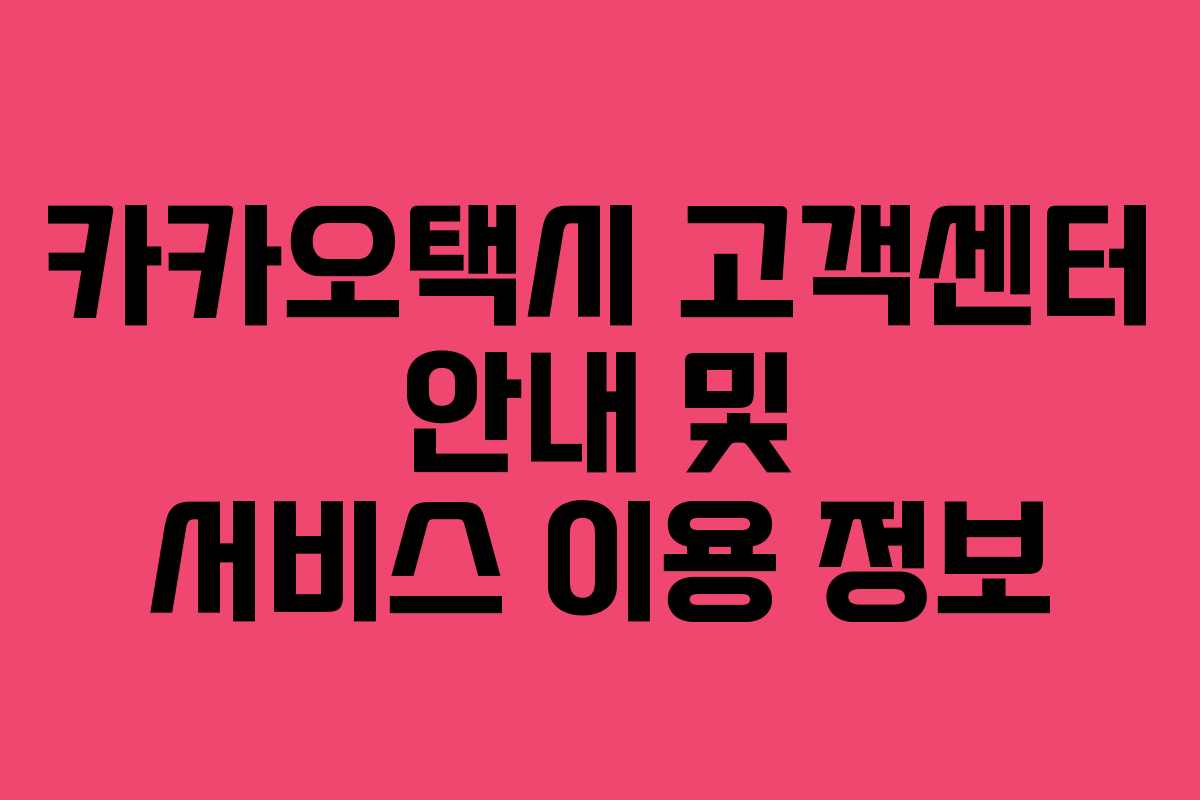 카카오택시 고객센터 안내 및 서비스 이용 정보 카카오택시 고객센터 안내 및 서비스 이용 정보