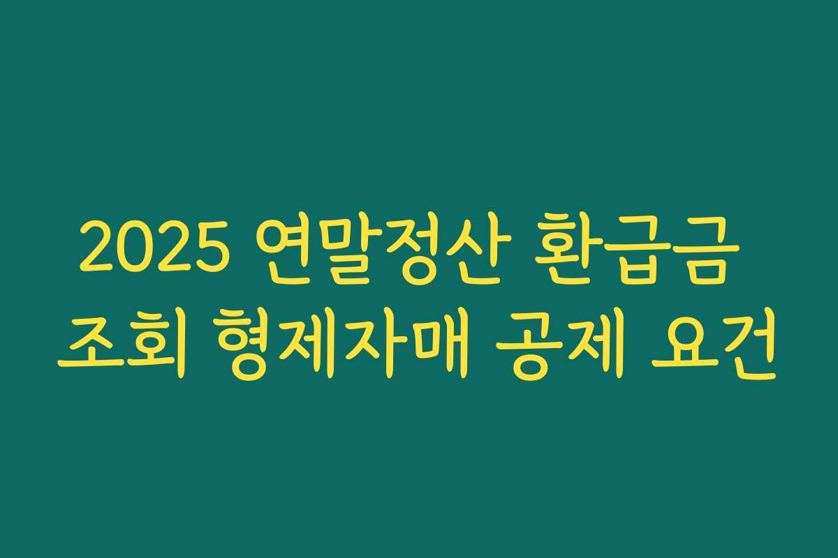 2025 연말정산 환급금 조회 형제자매 공제 요건