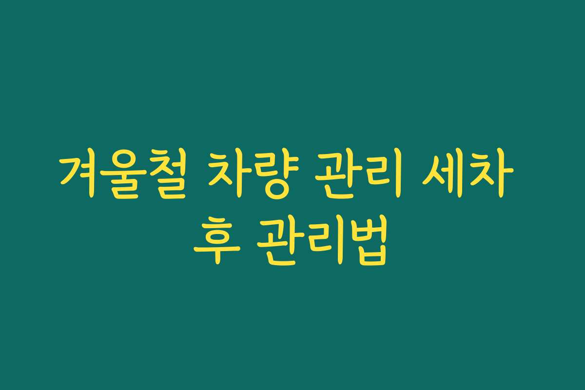 겨울철 차량 관리 세차 후 관리법