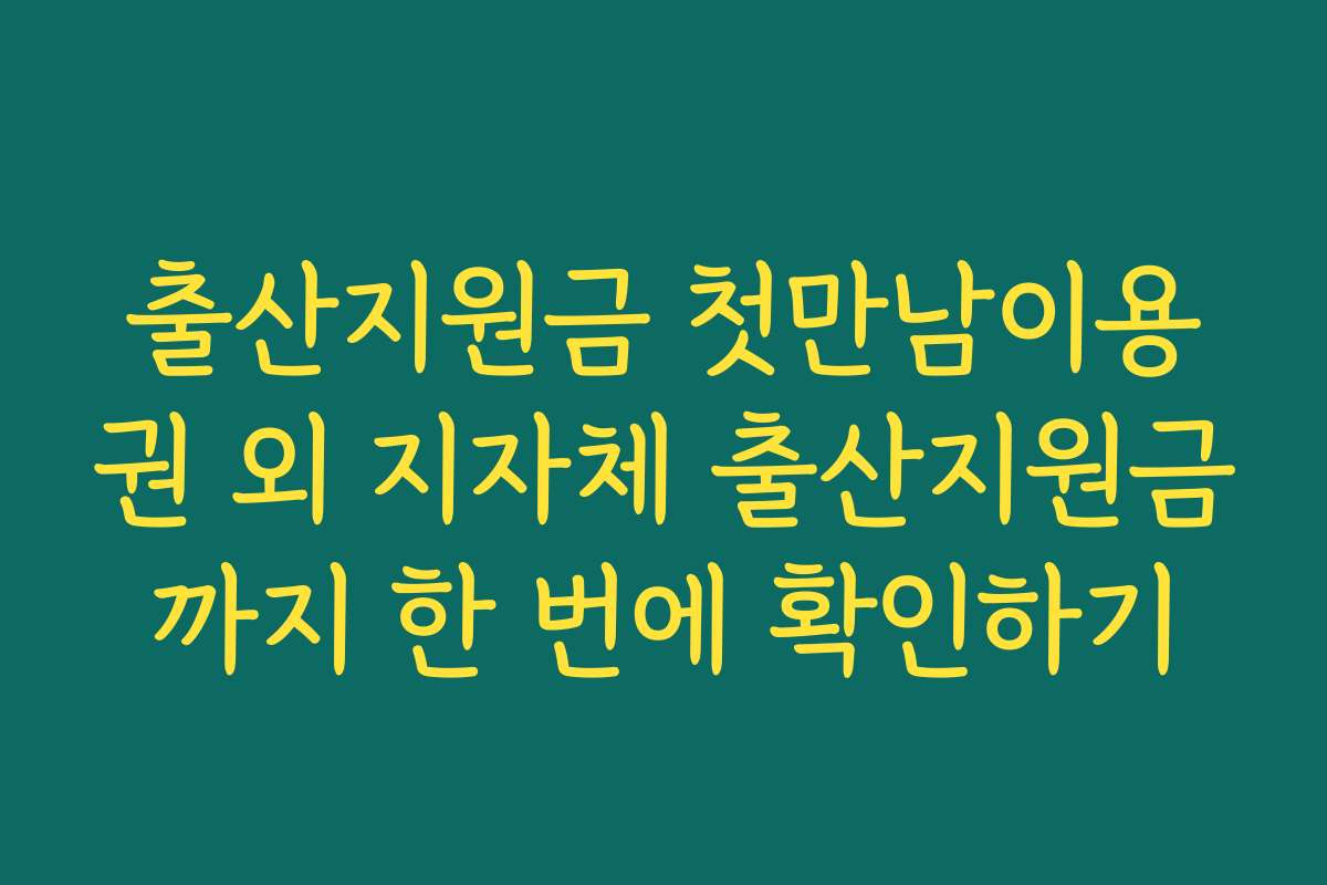 출산지원금 첫만남이용권 외 지자체 출산지원금까지 한 번에 확인하기