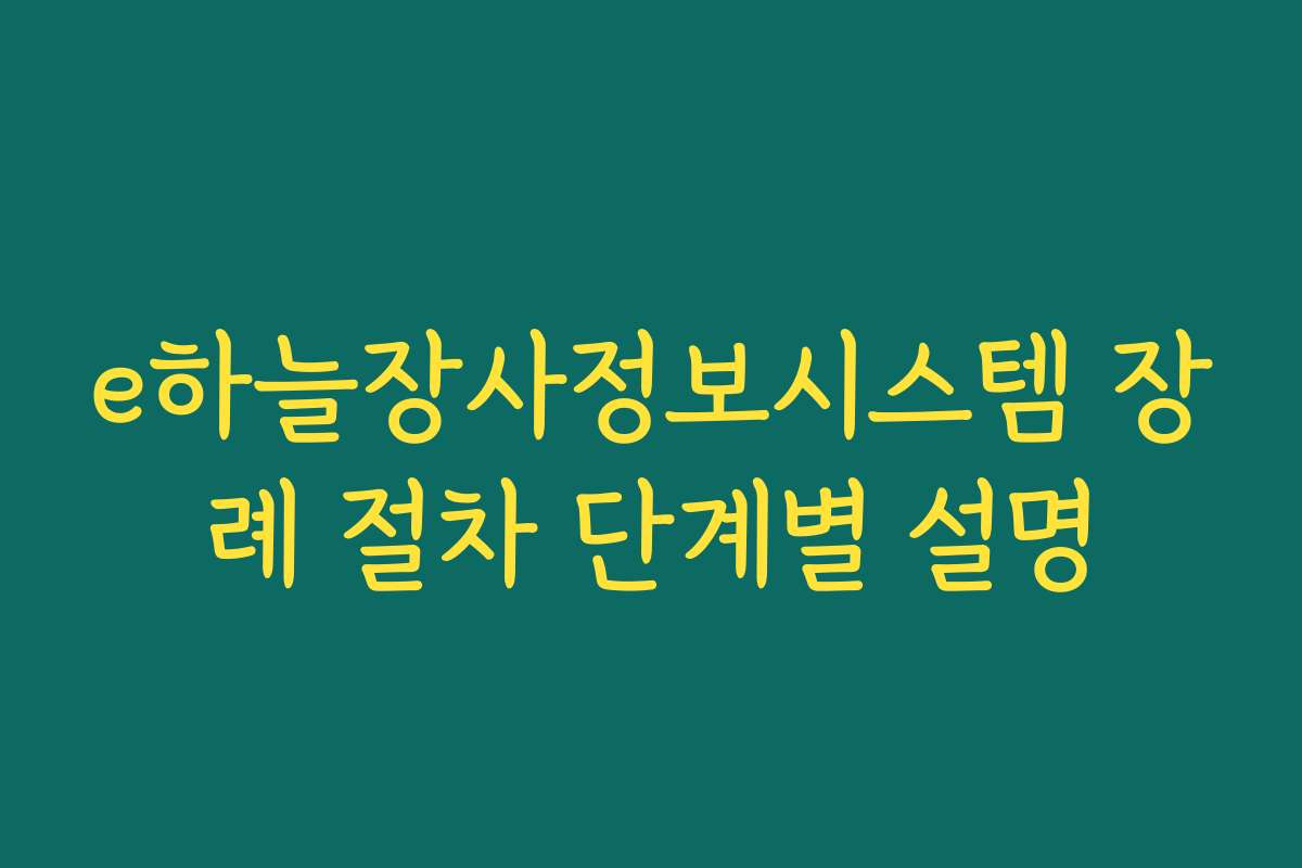 e하늘장사정보시스템 장례 절차 단계별 설명
