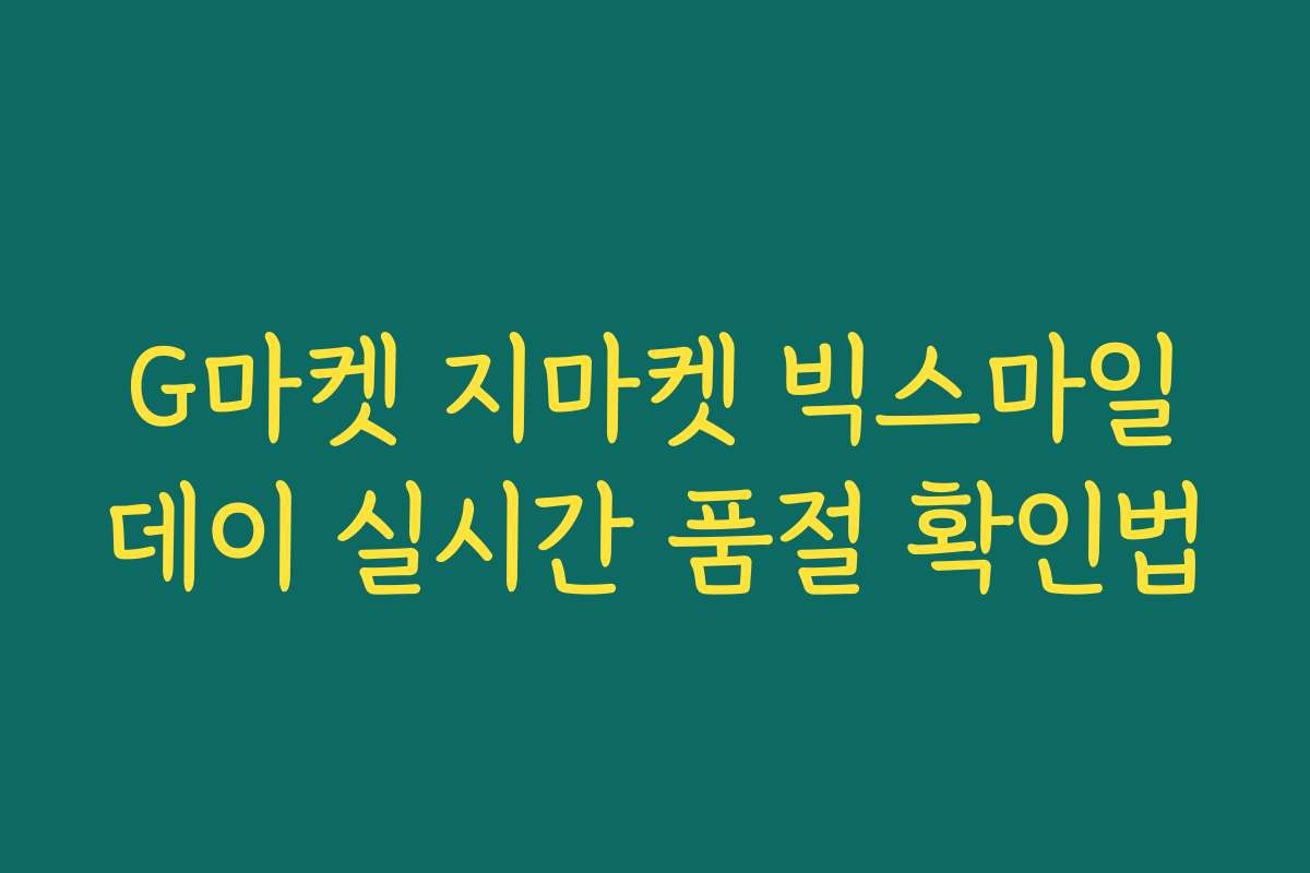 G마켓 지마켓 빅스마일데이 실시간 품절 확인법