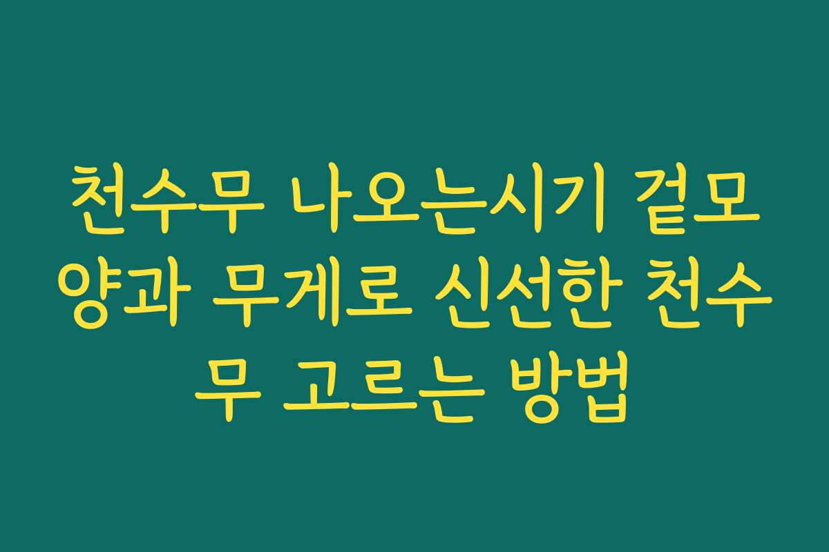 천수무 나오는시기 겉모양과 무게로 신선한 천수무 고르는 방법