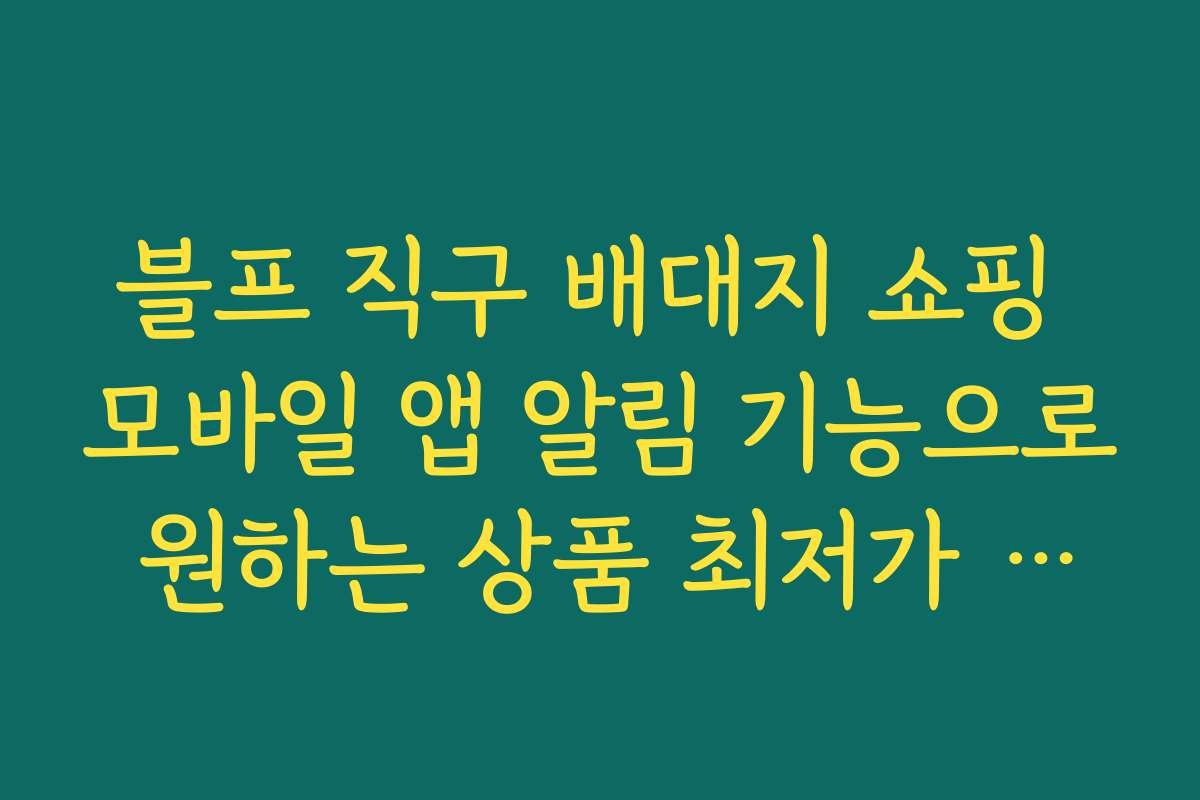 블프 직구 배대지 쇼핑 모바일 앱 알림 기능으로 원하는 상품 최저가 타이밍 놓치지 않는 법