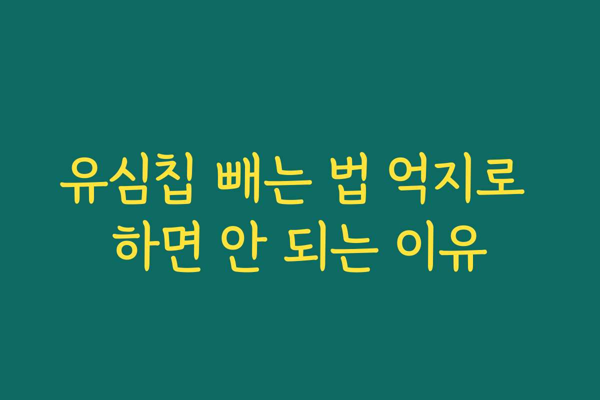 유심칩 빼는 법 억지로 하면 안 되는 이유