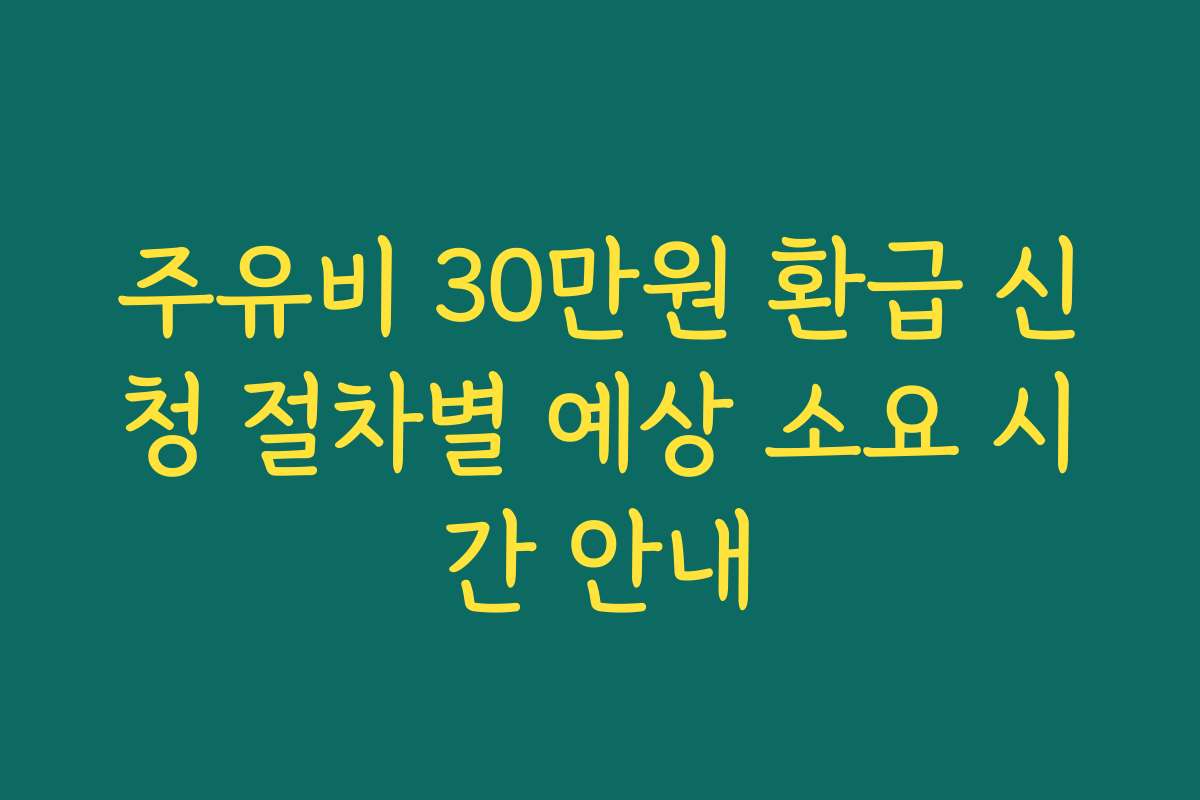 주유비 30만원 환급 신청 절차별 예상 소요 시간 안내