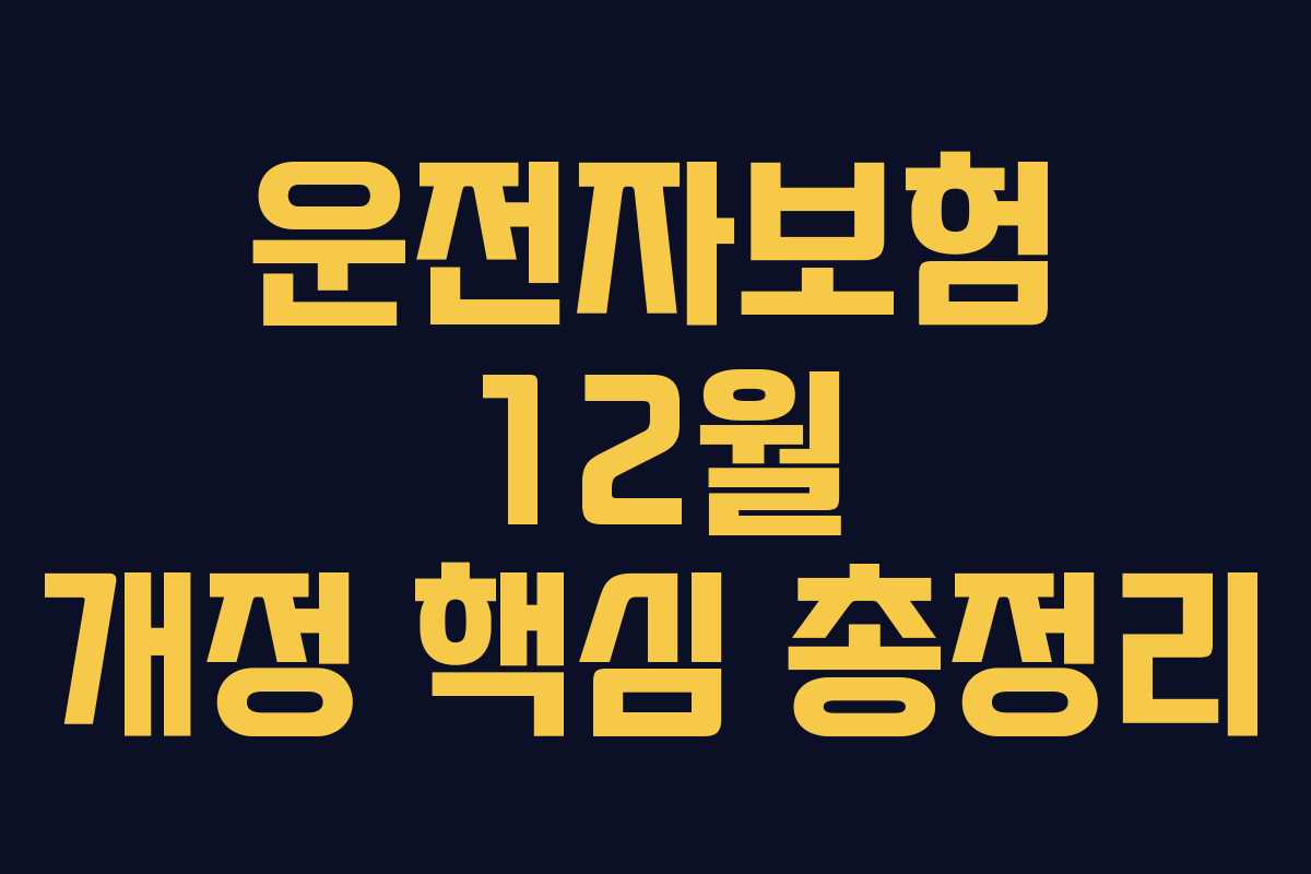 운전자보험 12월 개정 핵심 총정리