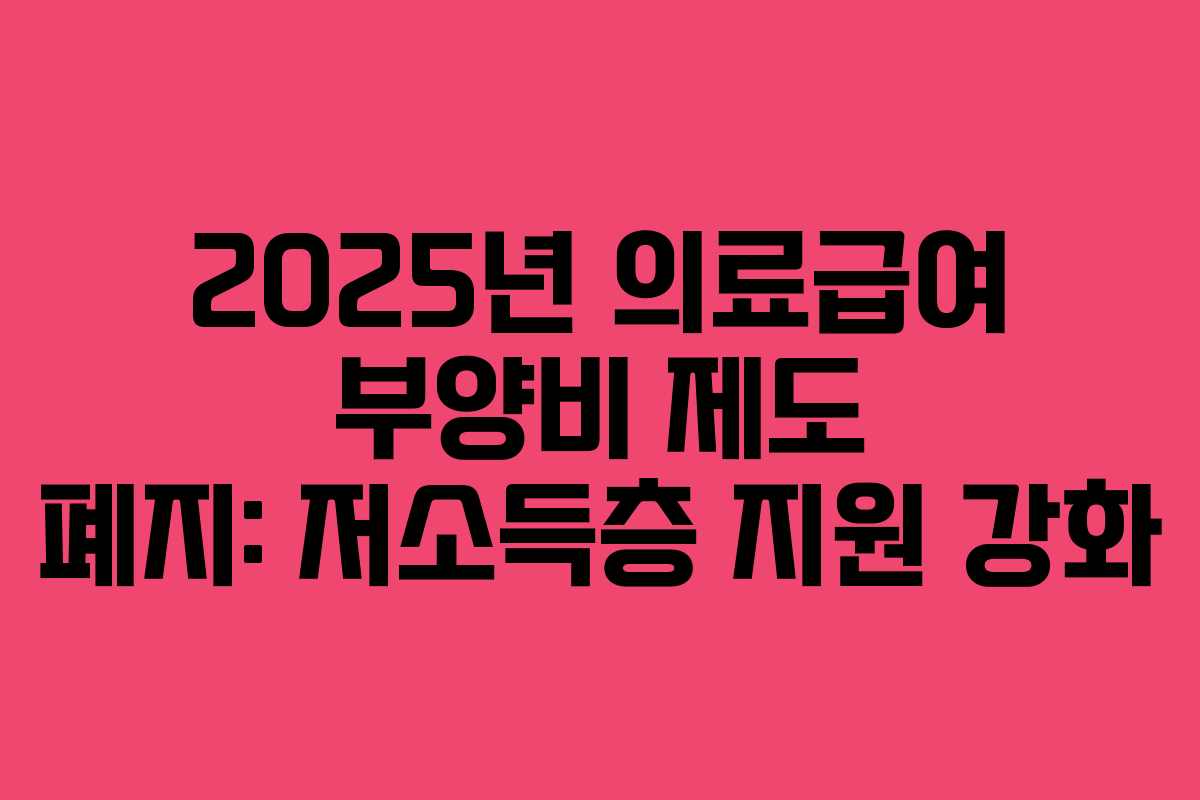 2025년 의료급여 부양비 제도 폐지: 저소득층 지원 강화