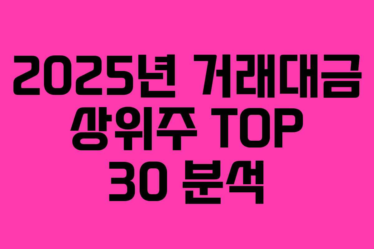 2025년 거래대금 상위주 TOP 30 분석