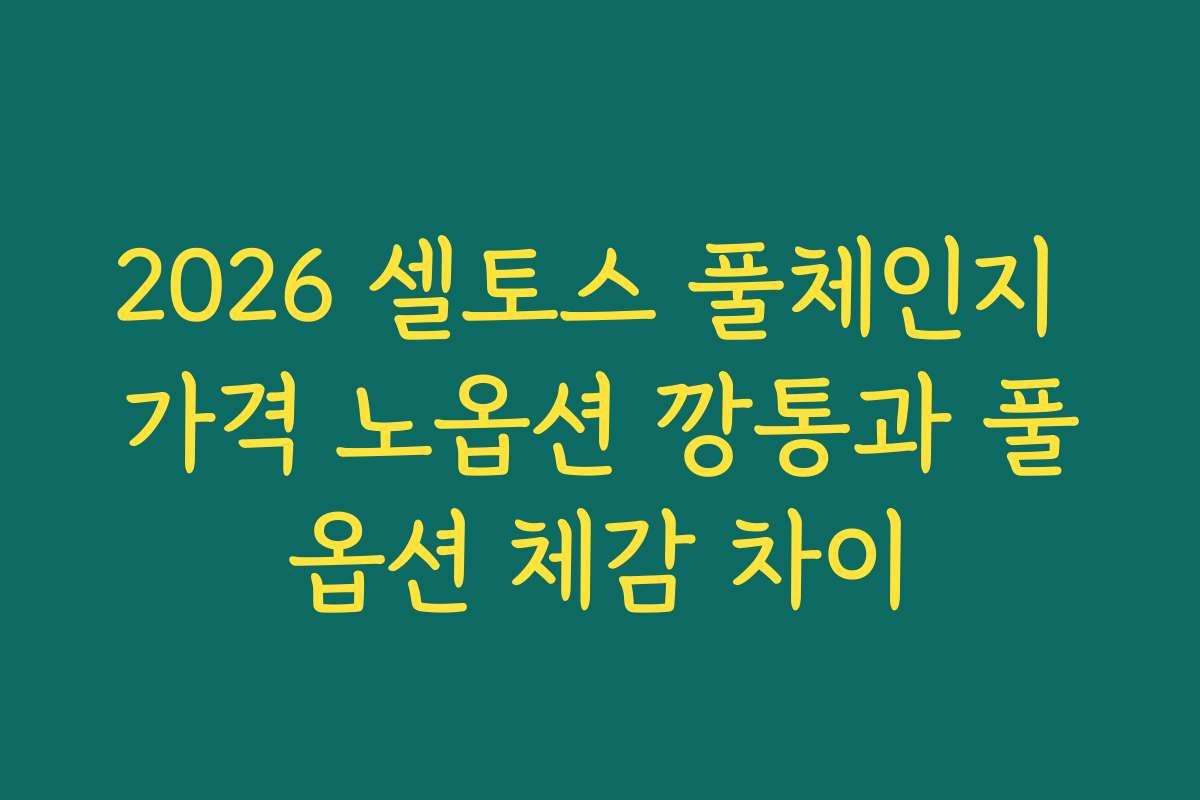 2026 셀토스 풀체인지 가격 노옵션 깡통과 풀옵션 체감 차이