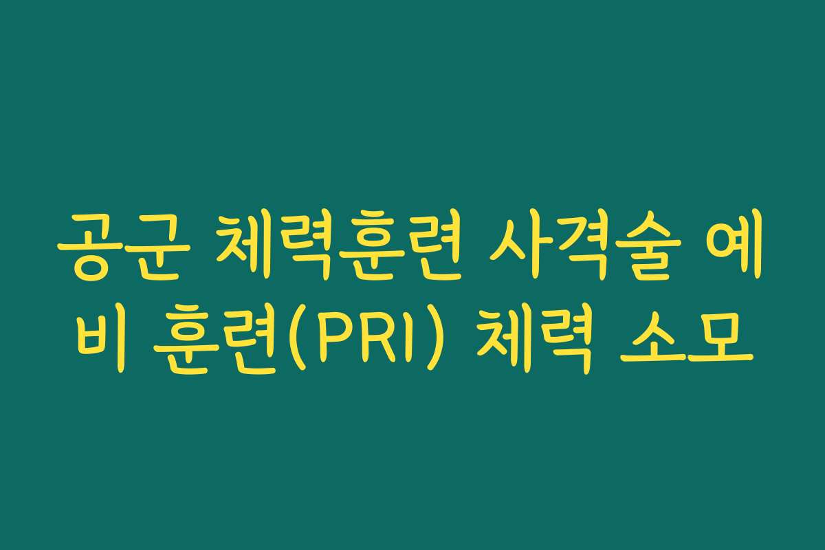 공군 체력훈련 사격술 예비 훈련(PRI) 체력 소모